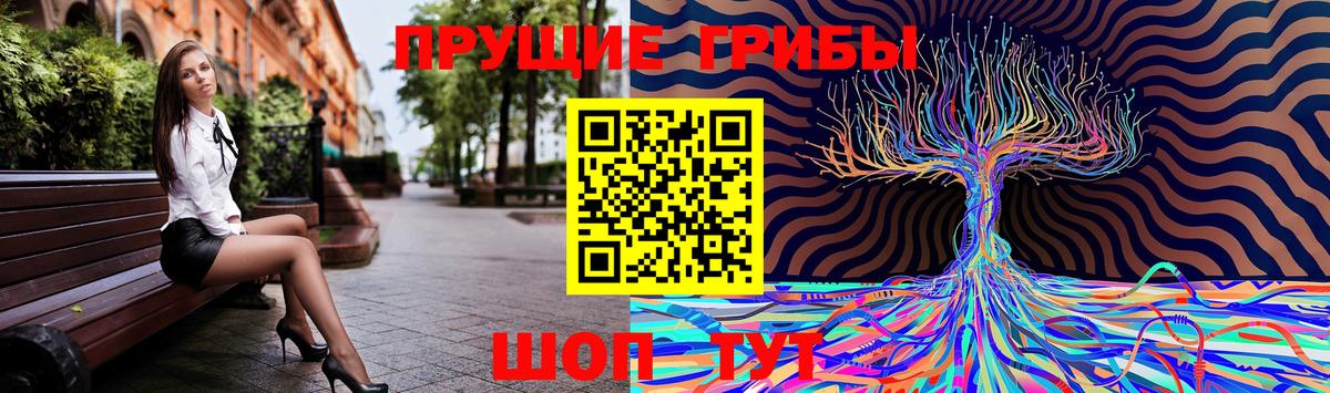 где купить   Вход с VPN  Асбест  Галлюциногенные грибы Magic Shrooms 